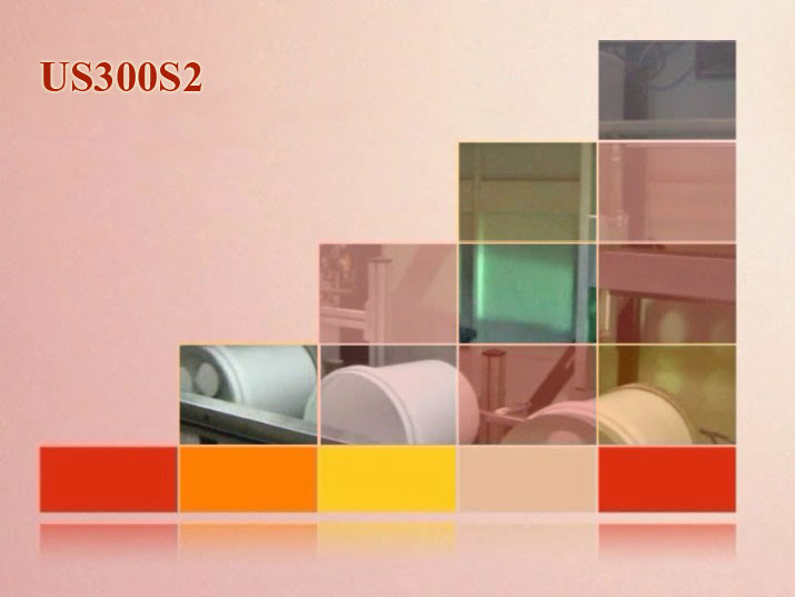 US300S2